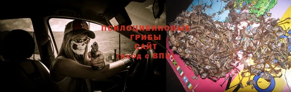 а пвп мука Дмитровск