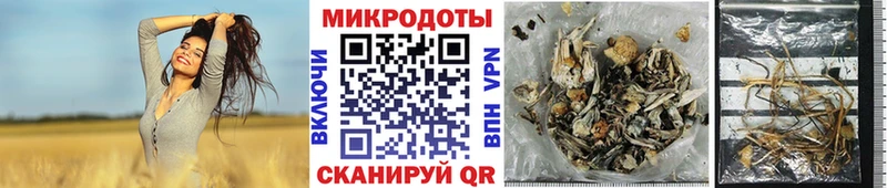 как найти закладки Оха Галлюциногенные грибы Psilocybe
